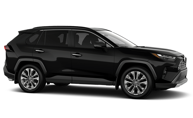 2025 TOYOTA RAV4 LIMITED photo-3