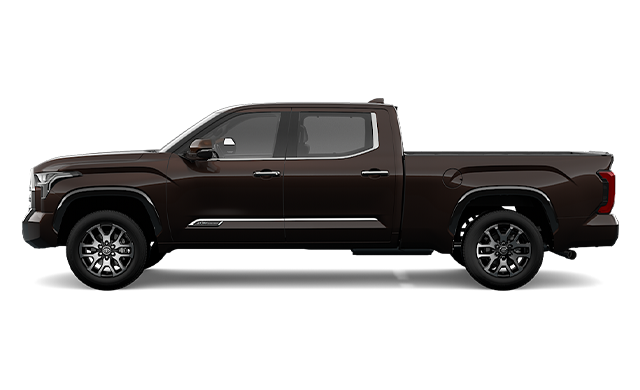 2025 TOYOTA TUNDRA