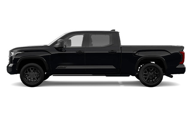 2025 TOYOTA Tundra CREWMAX PLATINUM L photo-0