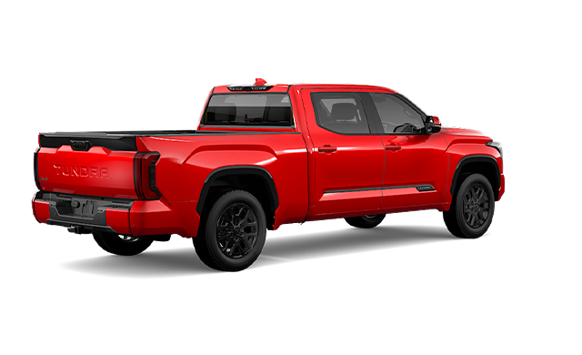 Accesorios Automoción Alfombrillas Toyota Tundra OEDRO - TPE