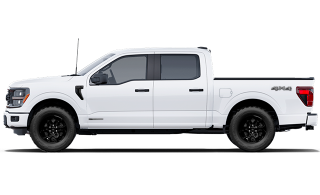 FORD F-150 Hybride STX 2026 - Vue ext�rieure - 2