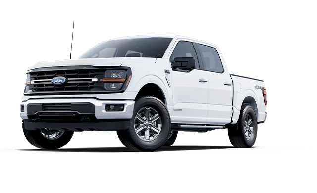 XLT