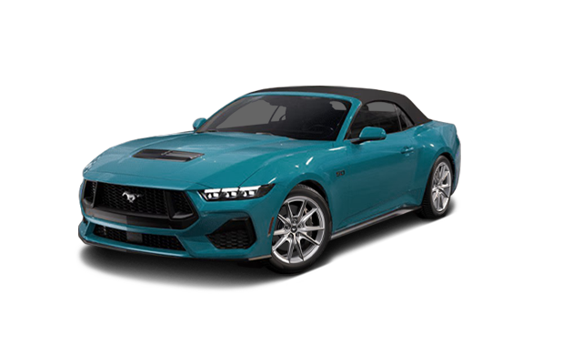 Support de corde Mustang / combo de plomb ~ cheval régulier