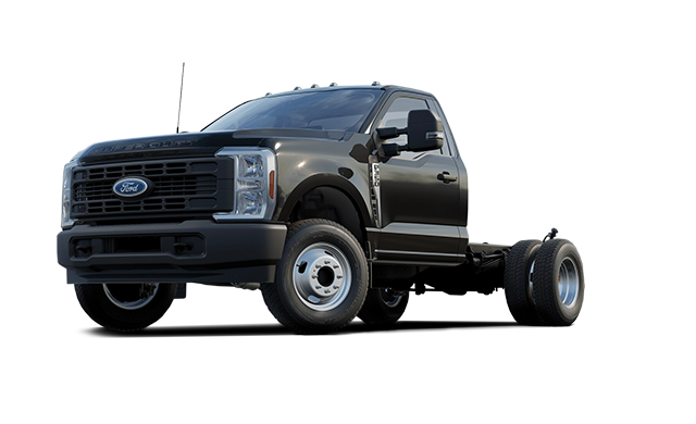 XLT