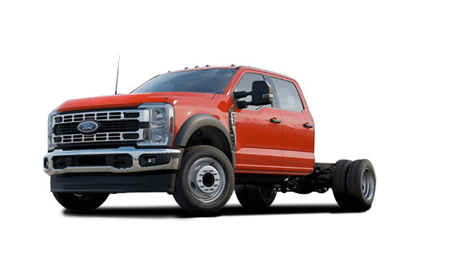 XLT