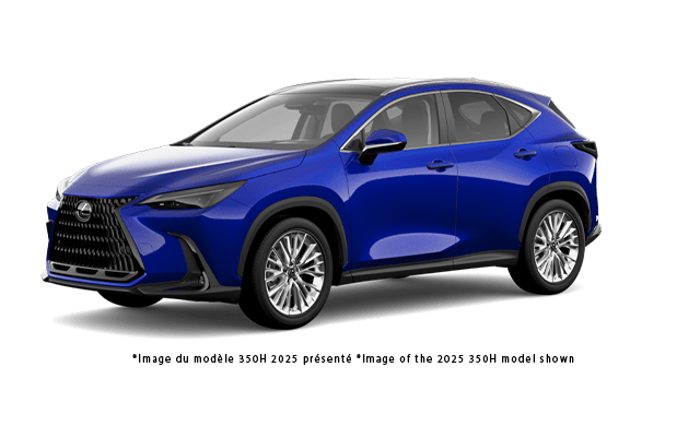 NEW F SPORT 3