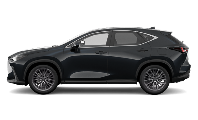 2026 Lexus NX Executive