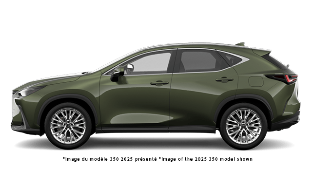 Lexus NX Executive 2026