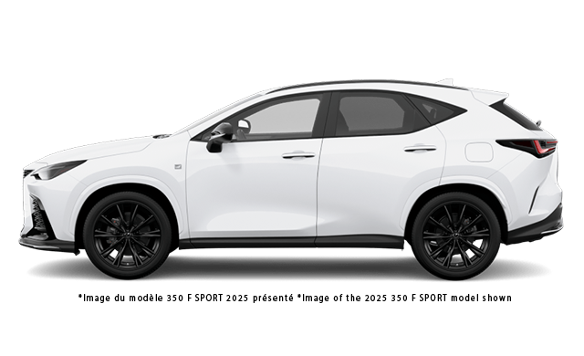 2026 LEXUS NX