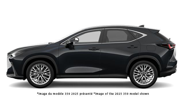 2026 Lexus NX Luxuy