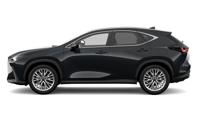 2026 Lexus NX Luxuy