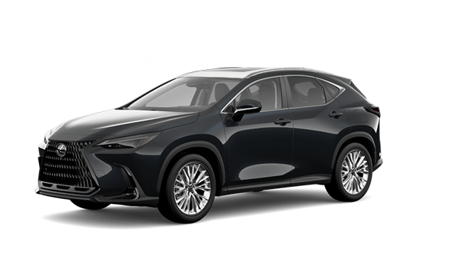 2026 Lexus NX Luxuy
