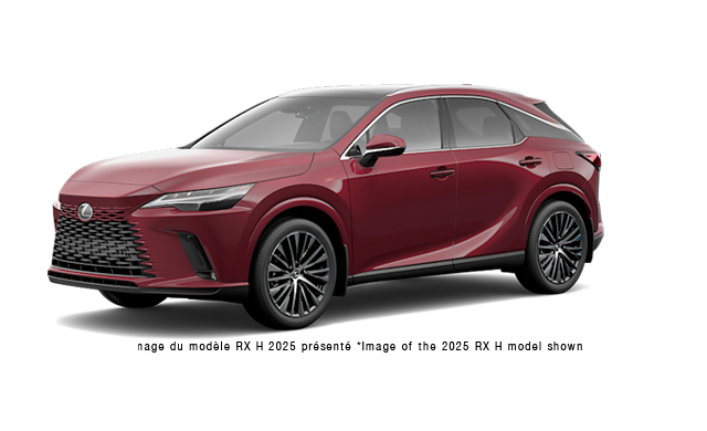 LEXUS RX Hybride 350H EXÉCUTIF 2026