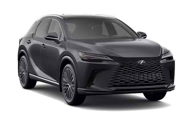 2026 LEXUS RX LUXURY photo-3