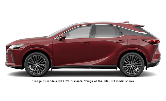 2026 Lexus RX Luxury