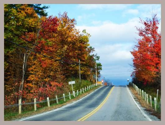 5 Fall Road Trips In The Greater Toronto Area