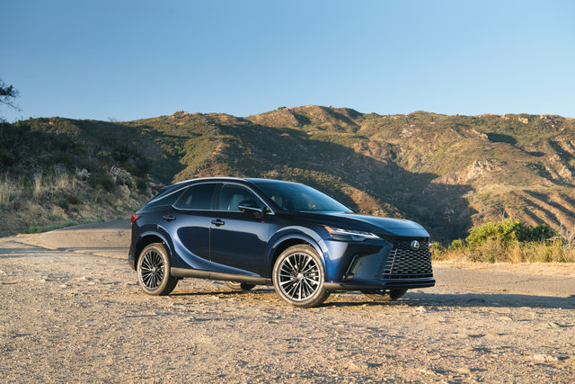 2025 Lexus RX Lineup Expands with Two Distinctive New Models