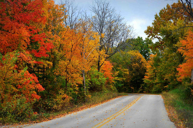 Conduire l’automne : plus risqué qu’on pourrait le croire