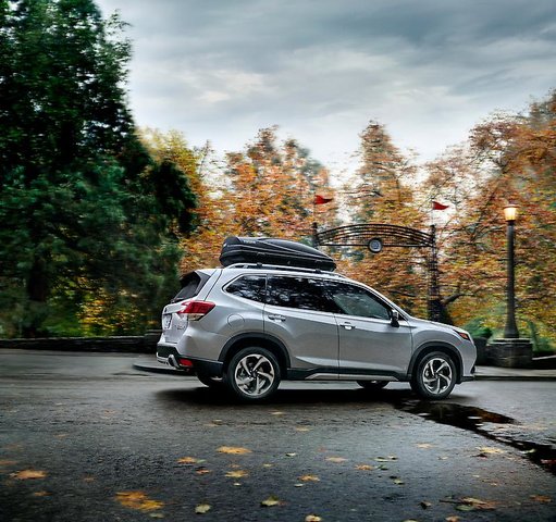 Visitez un parc avec votre Subaru Forester Wilderness!