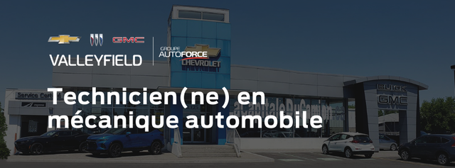 Technicien(ne) en mécanique automobile