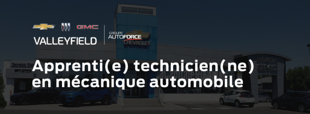 Apprenti(e) technicien(ne) en mécanique automobile