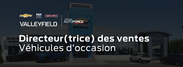 Directeur(trice) des ventes - Véhicules d'occasion
