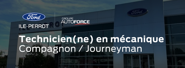 Technicien(ne) automobile (Compagnon)