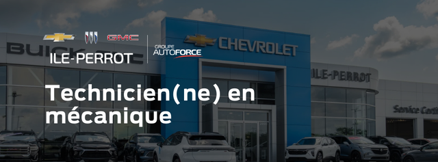 Technicien(ne) en mécanique automobile