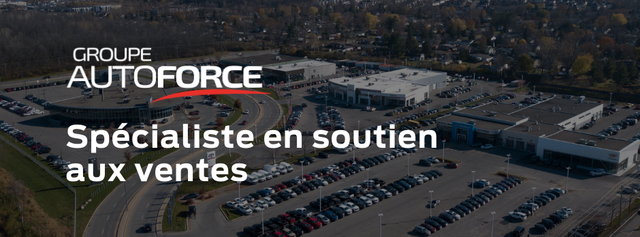 Spécialiste en soutien aux ventes