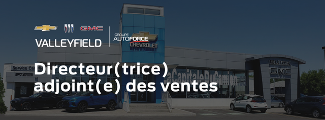 Directeur(trice) adjoint(e) des ventes