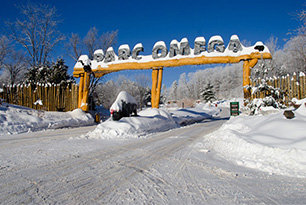 For car adventures with the children, welcome to Santa Claus’ reindeers!