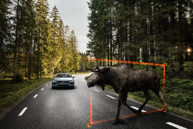 A Look at How Volvo Vehicles Detect Animals