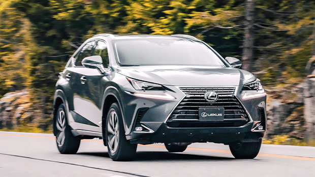 2021 Lexus NX: Price and Specifications