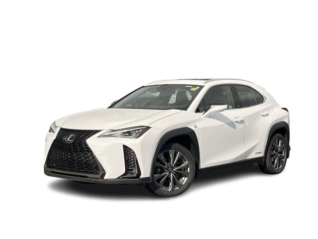2021 Lexus UX in Calgary, Alberta