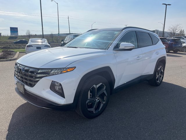 2024 Hyundai Tucson Hybrid in Bolton, Ontario