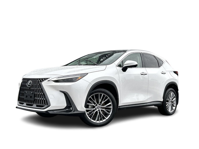 2024 Lexus NX in Mississauga, Ontario