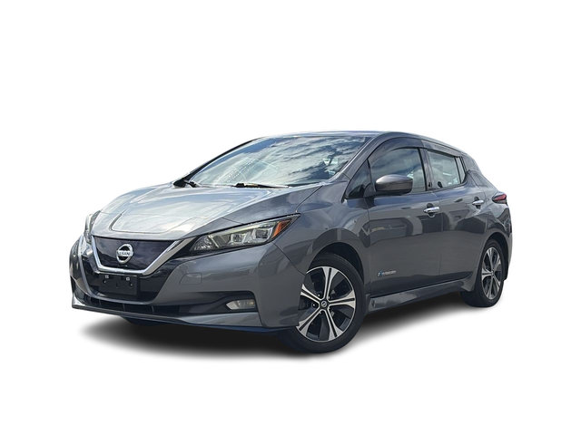 2019 Nissan Leaf in Langley, British Columbia