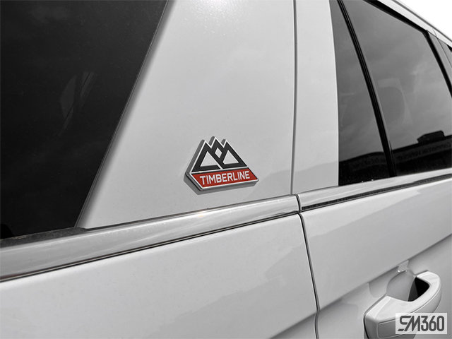 2024 FORD EXPEDITION TIMBERLINE