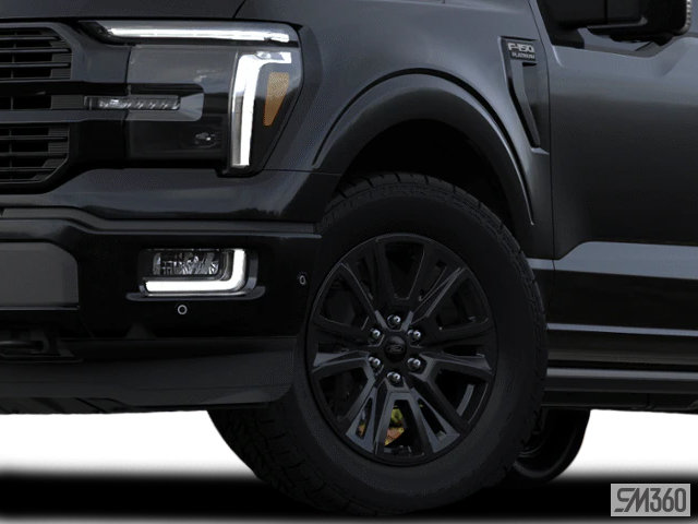2024 FORD F-150 PLATINUM