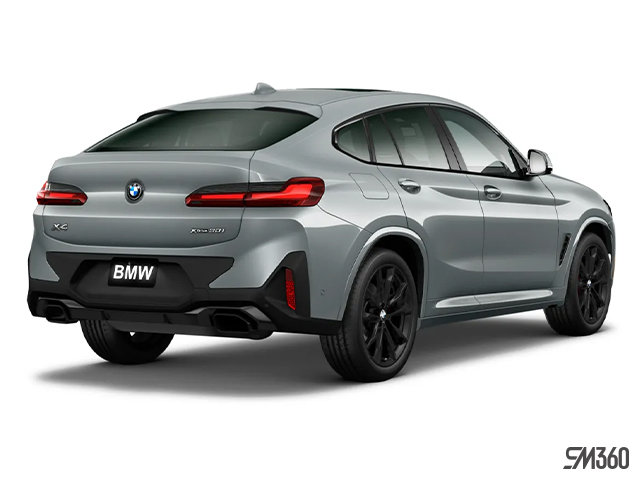 2025 BMW X4 M SPORT EDITION-5
