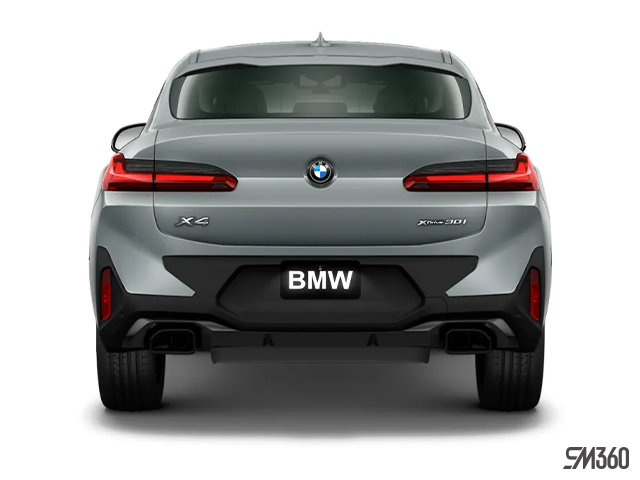 2025 BMW X4 M SPORT EDITION-6