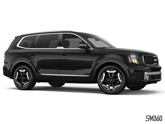 2025 KIA Telluride EX-3