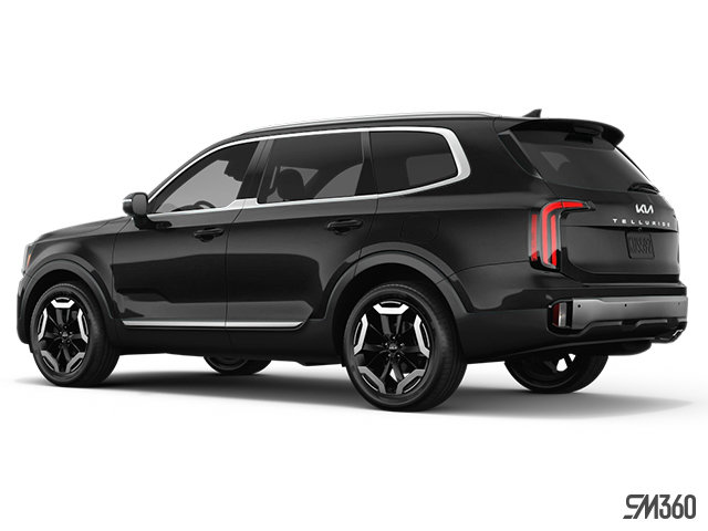 2025 KIA Telluride EX-6