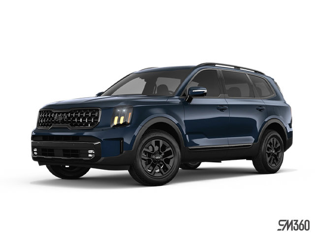 2025 KIA Telluride X-PRO-1