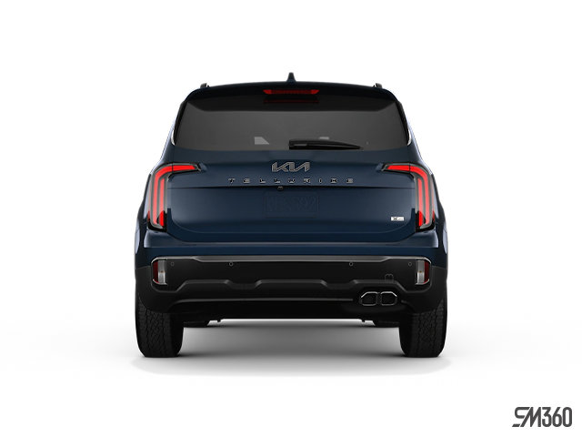 2025 KIA Telluride X-PRO-6