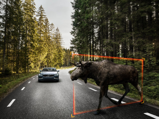A Look at How Volvo Vehicles Detect Animals