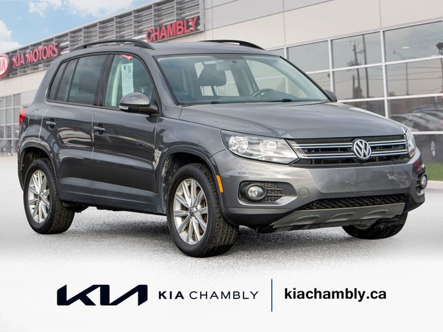 Volkswagen Tiguan  2014