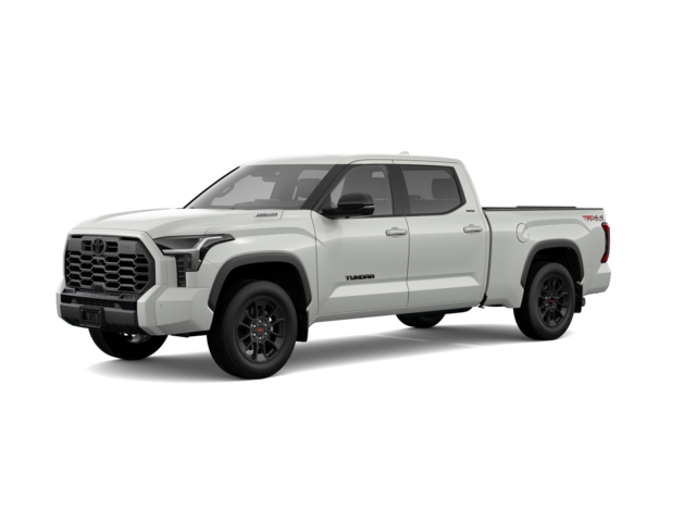 Tundra