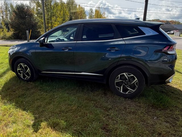 2024 Kia Sportage