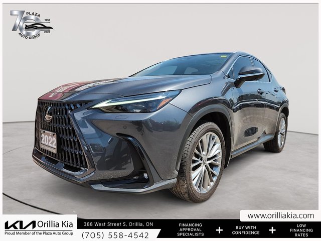 2022 Lexus NX